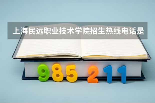 上海民远职业技术学院招生热线电话是多少