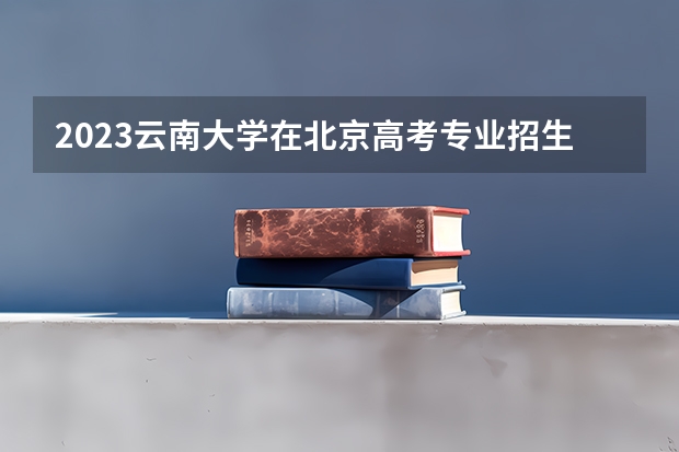 2023云南大学在北京高考专业招生计划人数是多少