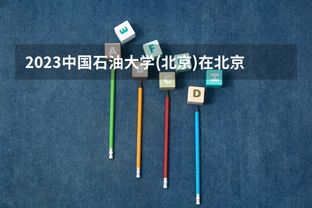 2023中国石油大学(北京)在北京高考专业招生计划人数是多少