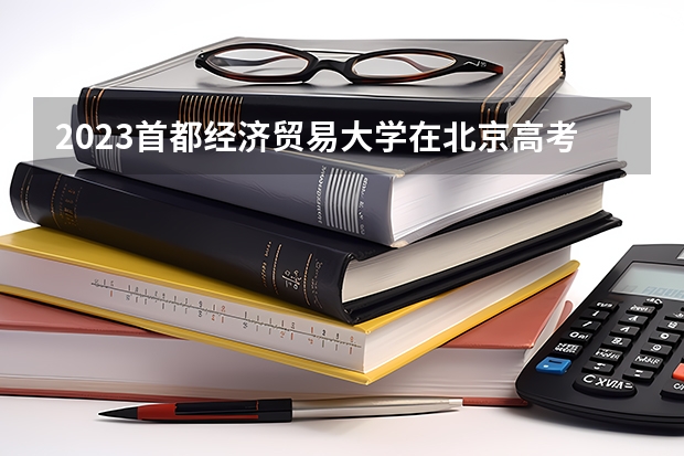2023首都经济贸易大学在北京高考专业招生计划人数是多少