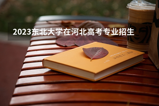 2023东北大学在河北高考专业招生计划人数是多少