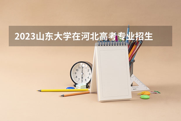 2023山东大学在河北高考专业招生计划人数是多少