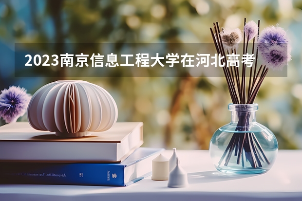 2023南京信息工程大学在河北高考专业招生计划人数是多少