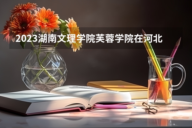 2023湖南文理学院芙蓉学院在河北高考专业招生计划人数是多少