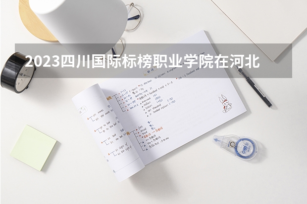 2023四川国际标榜职业学院在河北高考专业招生计划人数是多少