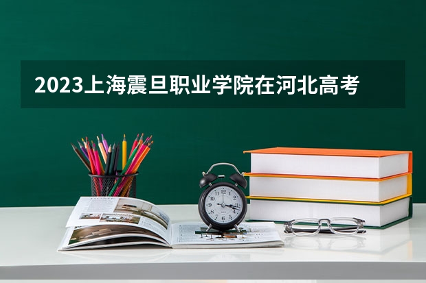 2023上海震旦职业学院在河北高考专业招生计划人数是多少