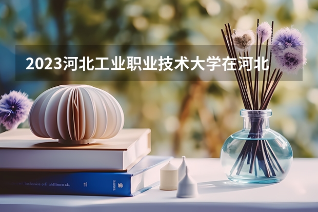 2023河北工业职业技术大学在河北高考专业招生计划人数是多少