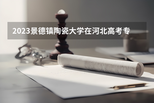 2023景德镇陶瓷大学在河北高考专业招生计划人数是多少