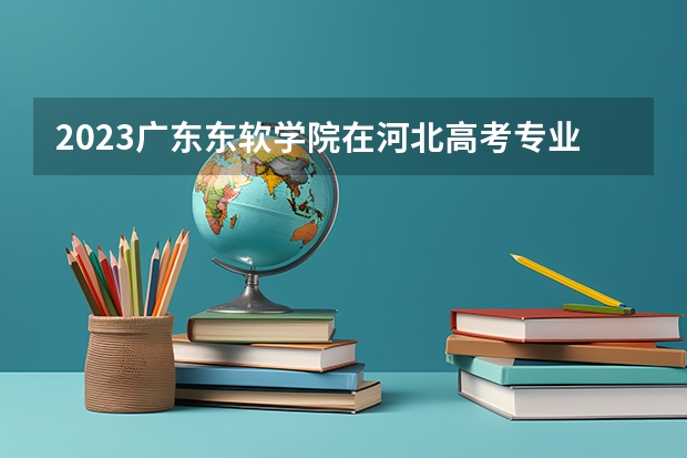 2023广东东软学院在河北高考专业招生计划人数是多少