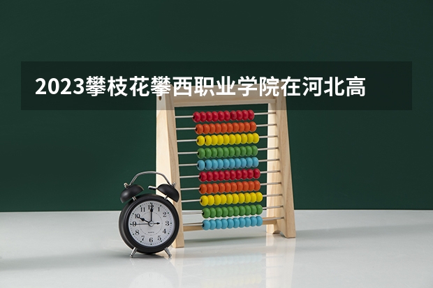 2023攀枝花攀西职业学院在河北高考专业招生计划人数是多少