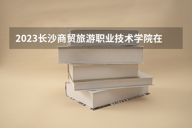 2023长沙商贸旅游职业技术学院在山西高考专业招生计划人数是多少