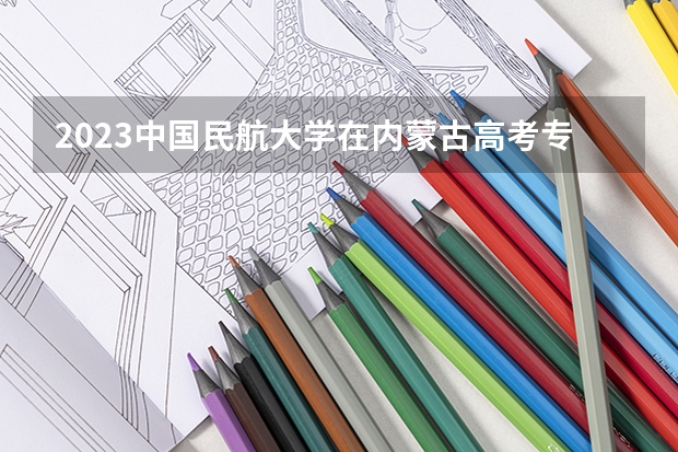 2023中国民航大学在内蒙古高考专业招生计划人数是多少