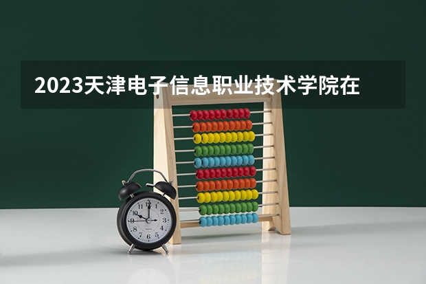 2023天津电子信息职业技术学院在内蒙古高考专业招生计划人数是多少