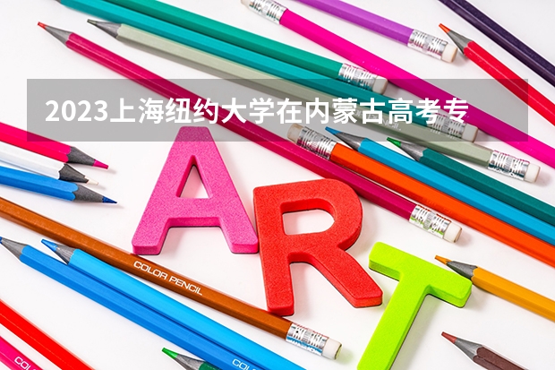 2023上海纽约大学在内蒙古高考专业招生计划人数是多少