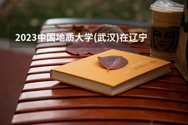 2023中国地质大学(武汉)在辽宁高考专业招生计划人数是多少