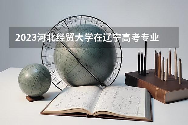 2023河北经贸大学在辽宁高考专业招生计划人数是多少