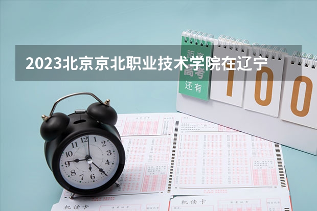 2023北京京北职业技术学院在辽宁高考专业招生计划人数是多少