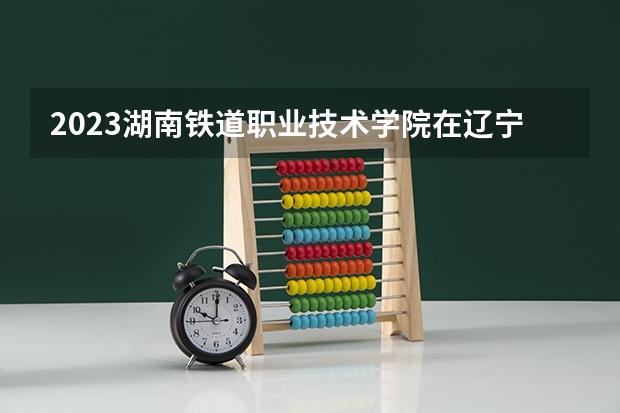 2023湖南铁道职业技术学院在辽宁高考专业招生计划人数是多少