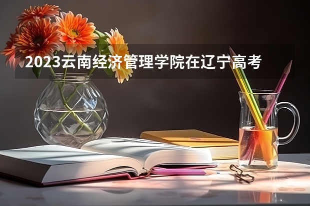 2023云南经济管理学院在辽宁高考专业招生计划人数是多少