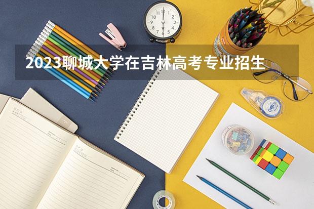 2023聊城大学在吉林高考专业招生计划人数是多少