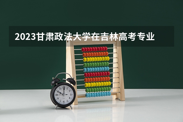 2023甘肃政法大学在吉林高考专业招生计划人数是多少