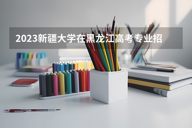 2023新疆大学在黑龙江高考专业招生计划人数是多少