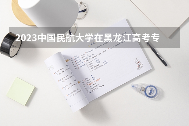 2023中国民航大学在黑龙江高考专业招生计划人数是多少