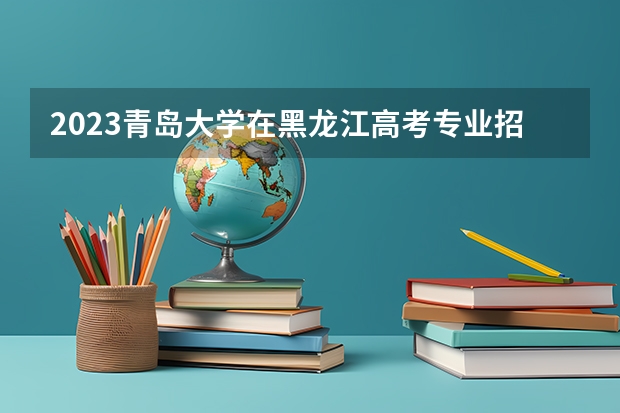2023青岛大学在黑龙江高考专业招生计划人数是多少