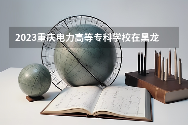 2023重庆电力高等专科学校在黑龙江高考专业招生计划人数是多少