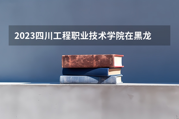 2023四川工程职业技术学院在黑龙江高考专业招生计划人数是多少