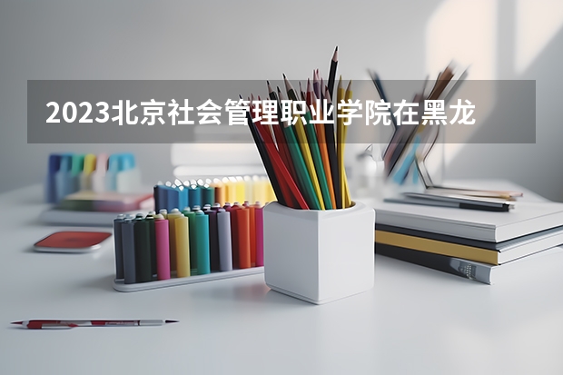2023北京社会管理职业学院在黑龙江高考专业招生计划人数是多少