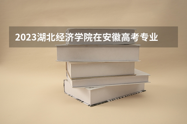 2023湖北经济学院在安徽高考专业招生计划人数是多少