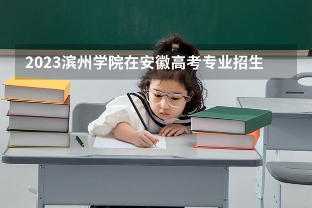 2023滨州学院在安徽高考专业招生计划人数是多少