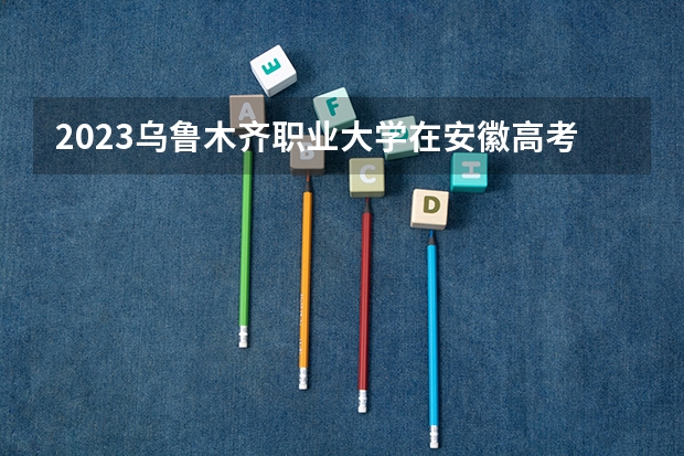 2023乌鲁木齐职业大学在安徽高考专业招生计划人数是多少