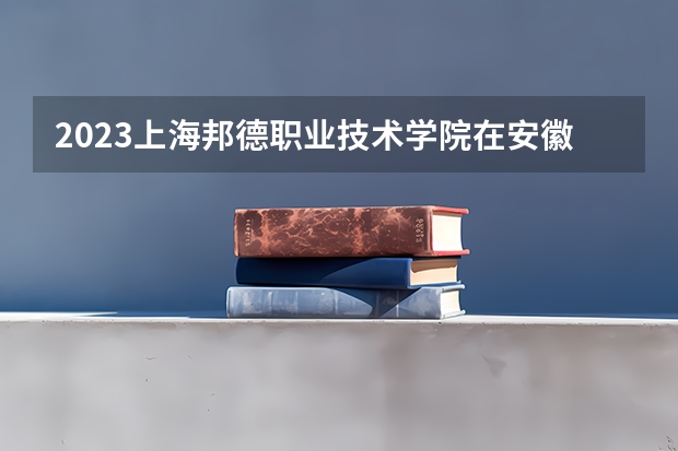 2023上海邦德职业技术学院在安徽高考专业招生计划人数是多少