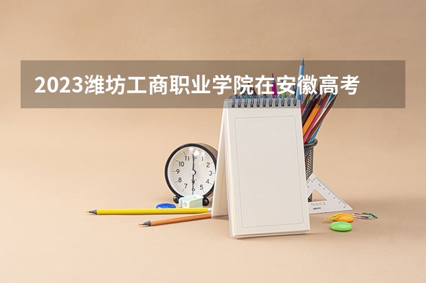 2023潍坊工商职业学院在安徽高考专业招生计划人数是多少