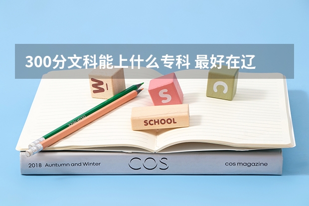 300分文科能上什么专科 最好在辽宁内的