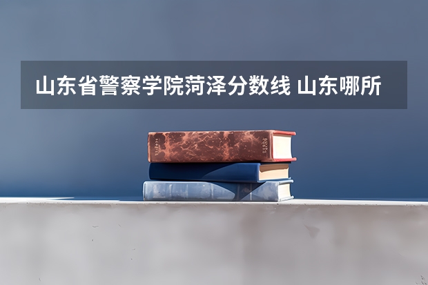 山东省警察学院菏泽分数线 山东哪所大学名气不高，但就业率很高，毕业生90%能成为公务员？