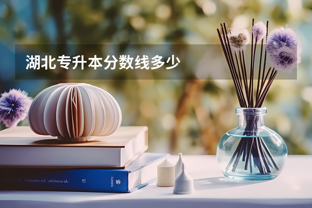 湖北专升本分数线多少