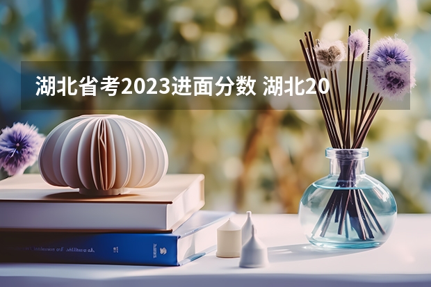 湖北省考2023进面分数 湖北2023省考进面分数