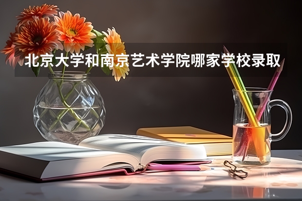 北京大学和南京艺术学院哪家学校录取分数低