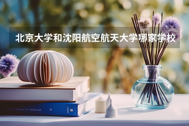北京大学和沈阳航空航天大学哪家学校录取分数低