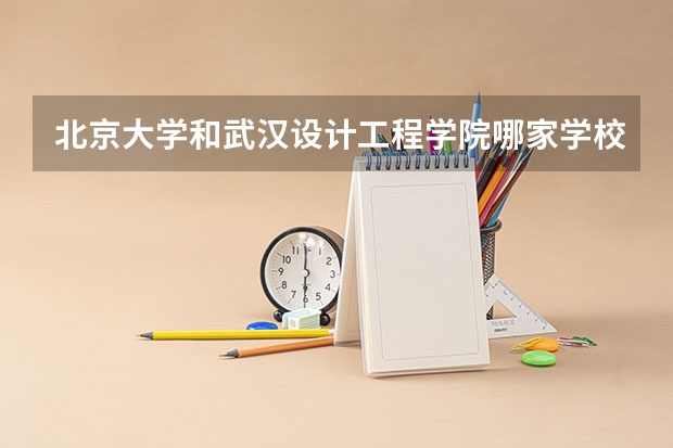 北京大学和武汉设计工程学院哪家学校录取分数低