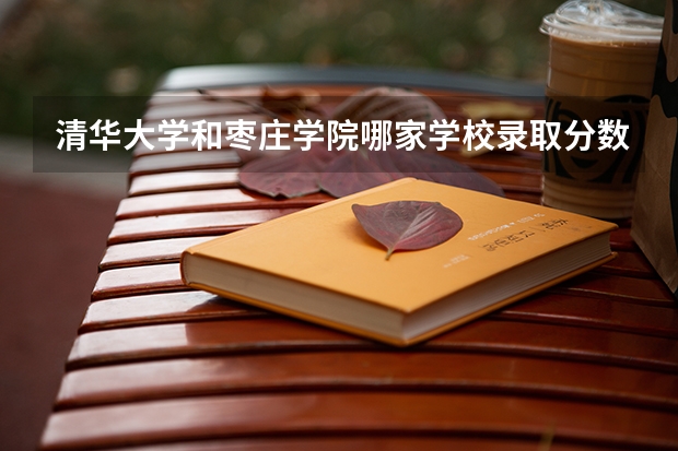 清华大学和枣庄学院哪家学校录取分数低