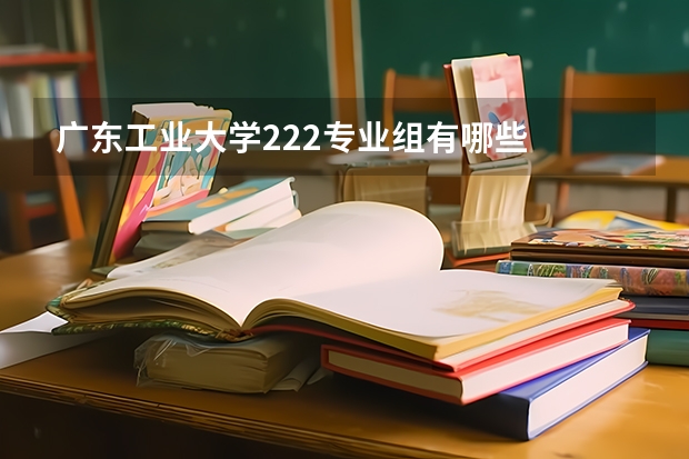 广东工业大学222专业组有哪些