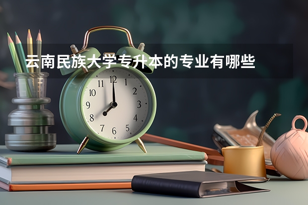 云南民族大学专升本的专业有哪些
