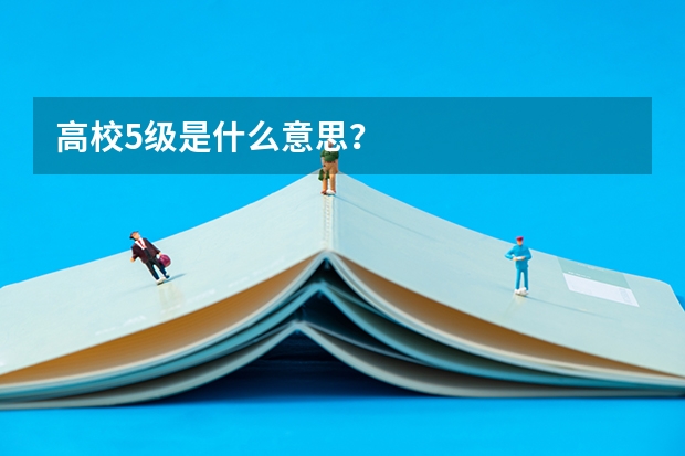 高校5级是什么意思？