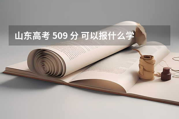 山东高考 509 分 可以报什么学校啊?