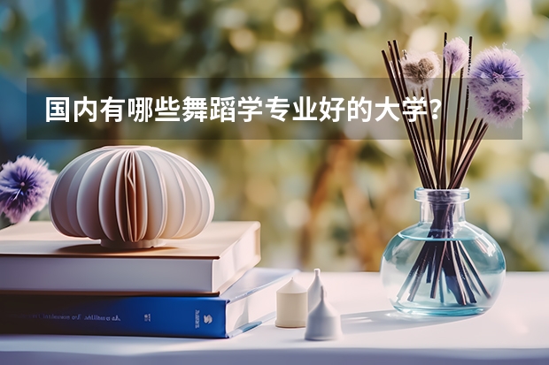 国内有哪些舞蹈学专业好的大学？