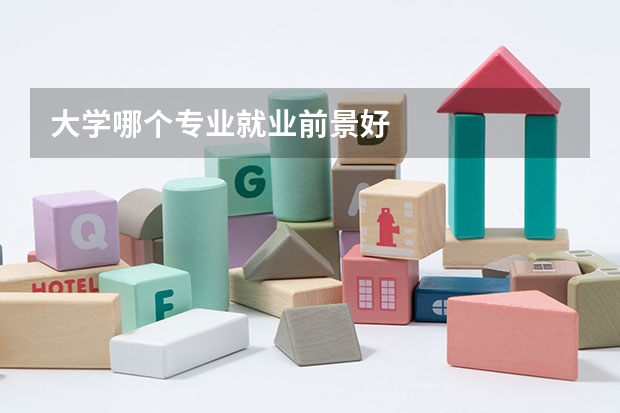 大学哪个专业就业前景好